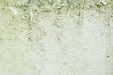 green and white concrete wall