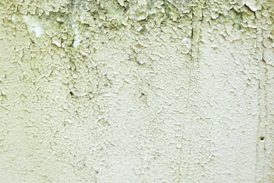 A close-up of a wall with peeling and cracked paint, revealing an aged and weathered texture beneath. Small patches of black mold can be seen amongst the layers of white and green paint.