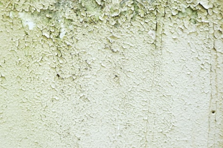 A close-up of a wall with peeling and cracked paint, revealing an aged and weathered texture beneath. Small patches of black mold can be seen amongst the layers of white and green paint.