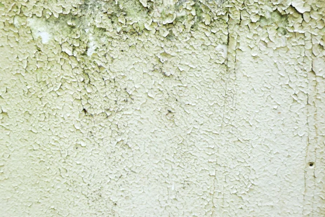 Close-up of a wall after humidity treatment showing dry and restored surface.
