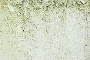 Photo documentation showing detailed interior wall conditions with visible moisture stains