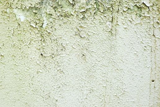 A close-up of a wall with peeling and cracked paint, revealing an aged and weathered texture beneath. Small patches of black mold can be seen amongst the layers of white and green paint.