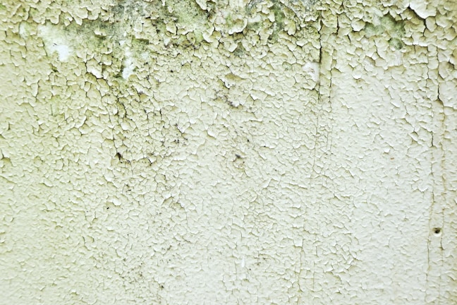 A close-up of a wall with peeling and cracked paint, revealing an aged and weathered texture beneath. Small patches of black mold can be seen amongst the layers of white and green paint.