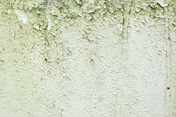 A close-up of a wall with peeling and cracked paint, revealing an aged and weathered texture beneath. Small patches of black mold can be seen amongst the layers of white and green paint.