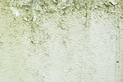Close-up of a moisture inspection revealing hidden damp spots on a wall.