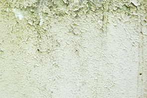 Close-up of a technician carefully removing mold from a damaged wall.