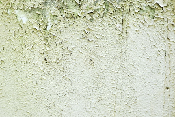 A close-up of a wall with peeling and cracked paint, revealing an aged and weathered texture beneath. Small patches of black mold can be seen amongst the layers of white and green paint.