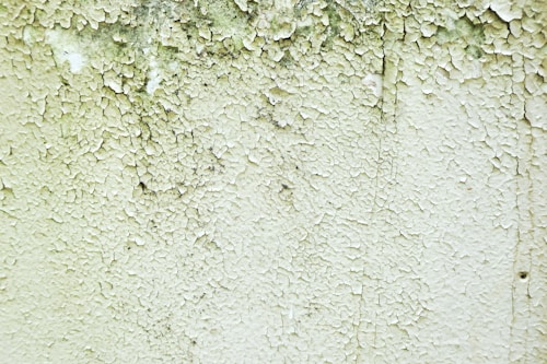 A close-up of a wall with peeling and cracked paint, revealing an aged and weathered texture beneath. Small patches of black mold can be seen amongst the layers of white and green paint.