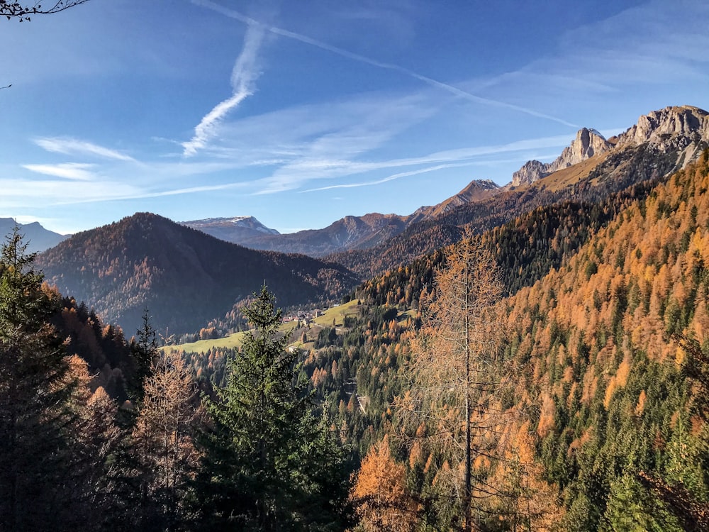 green trees near brown mountain under blue sky during daytime