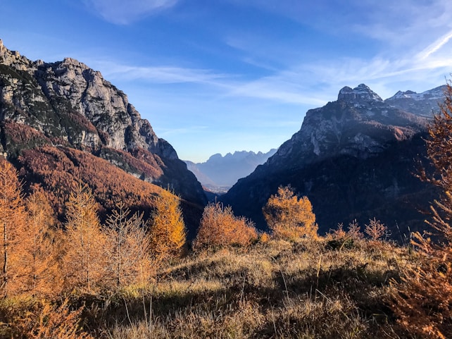A majestic mountain landscape with rugged, rocky peaks. The foreground features a forest of trees with vibrant autumn foliage in shades of orange and gold. A clear blue sky stretches overhead, enhancing the natural beauty and tranquility of the scene.