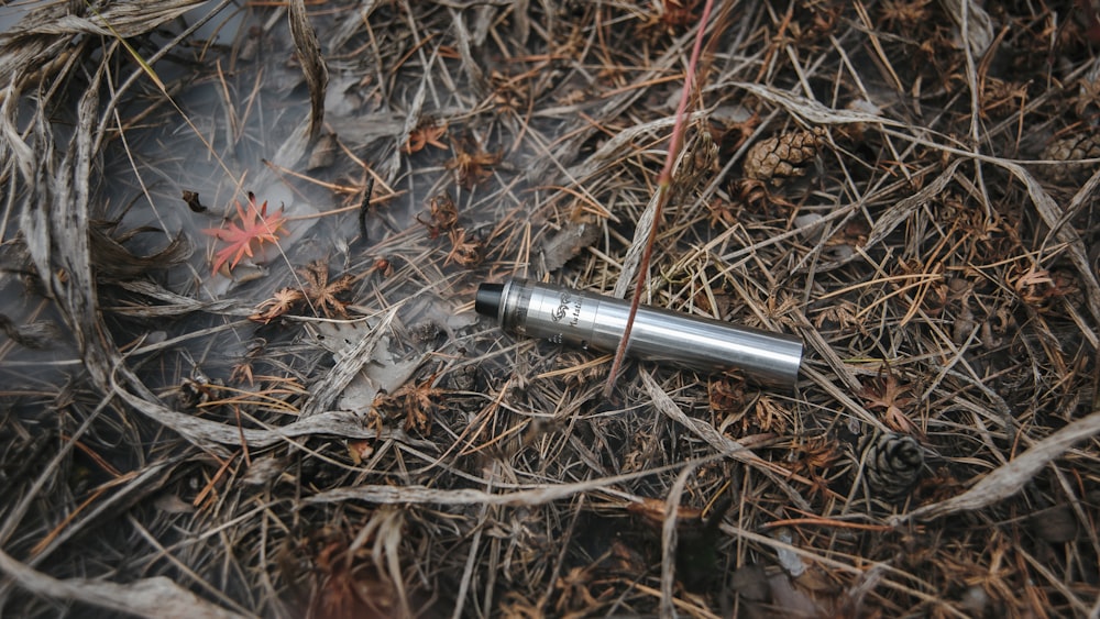 silver tube type vaporizer on brown dried leaves