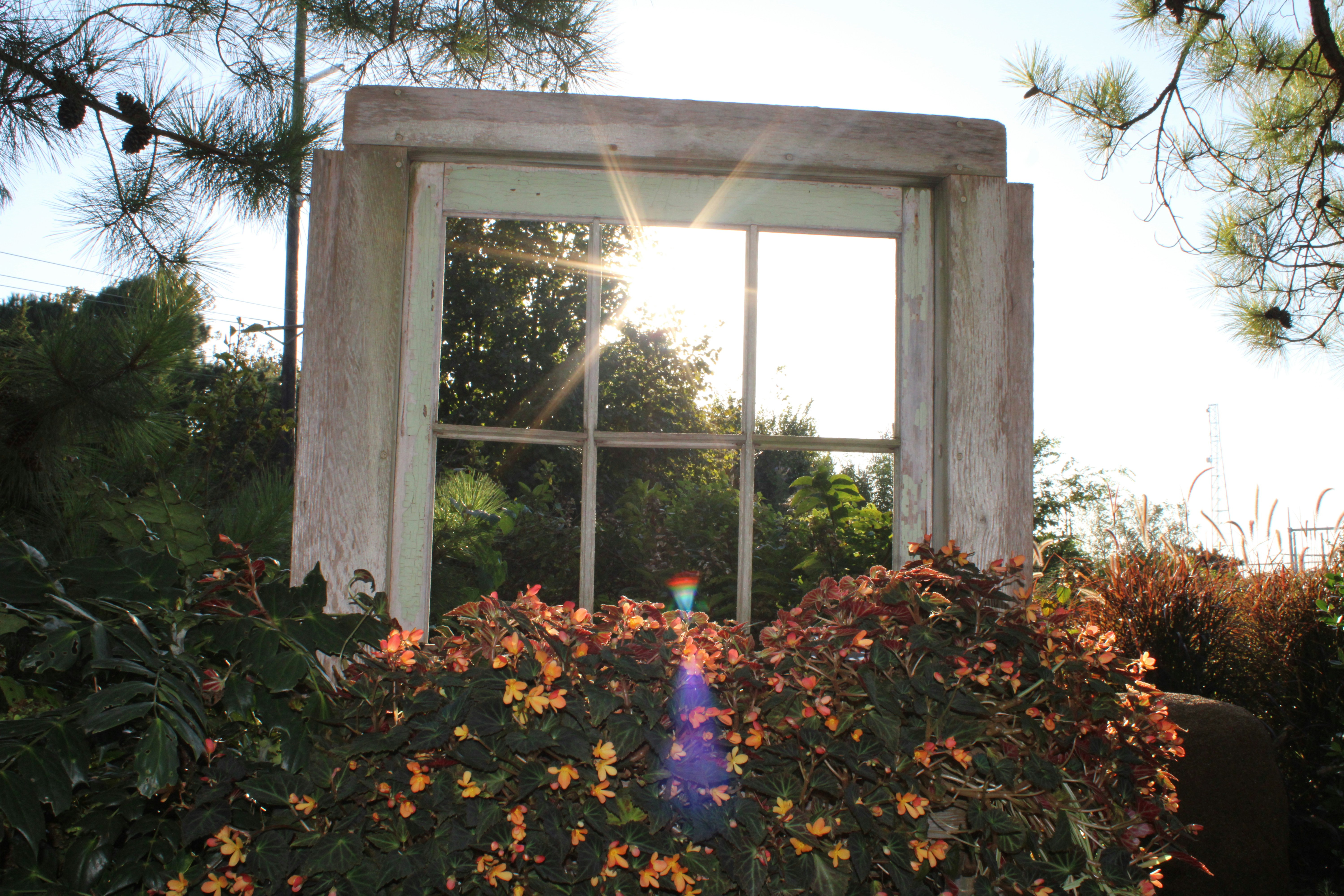 Photo by emilybrookewest