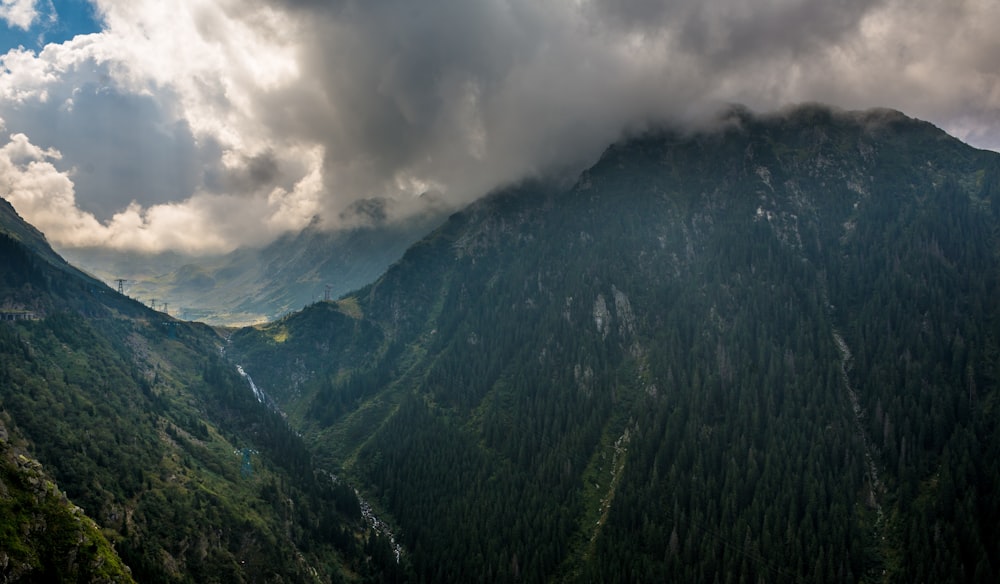 green trees on mountain under white clouds during daytime