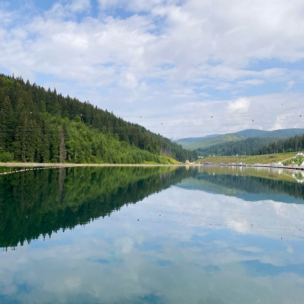 alberi verdi accanto al fiume sotto il cielo blu durante il giorno