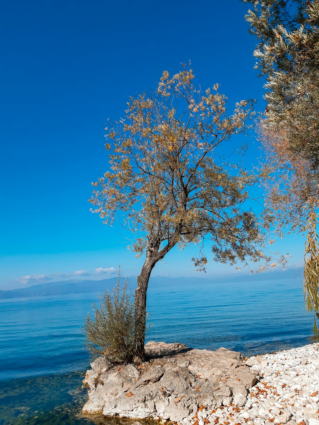 Natural landscape photo spot Trpejca Ohrid