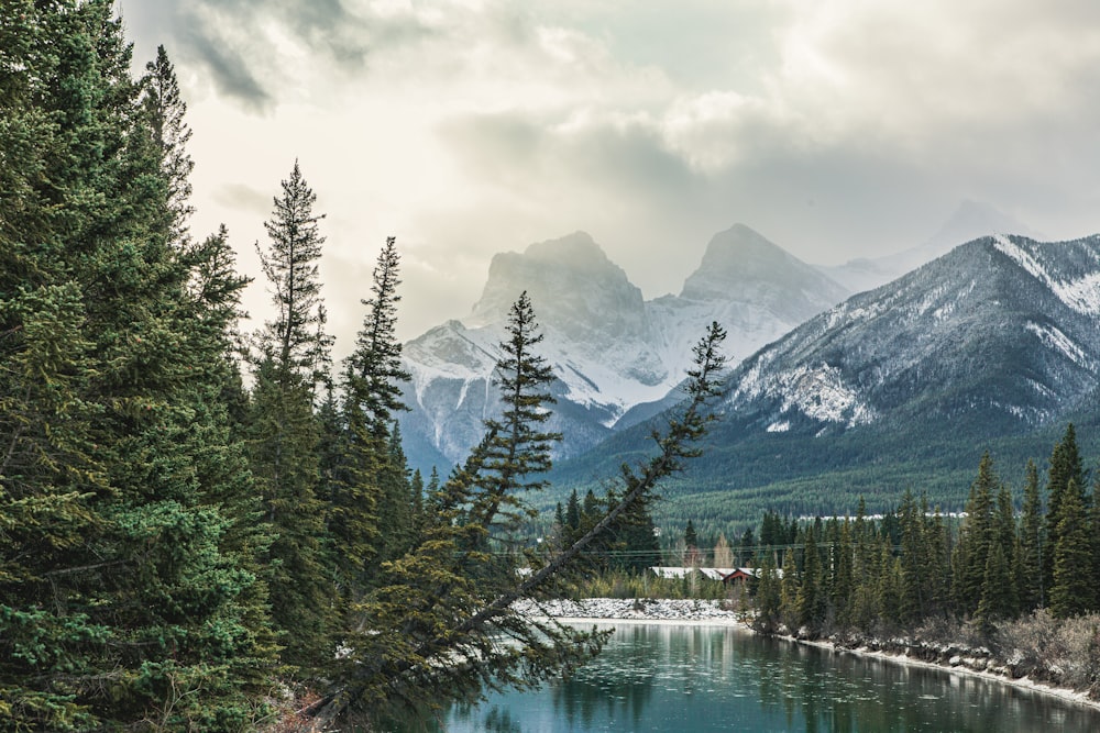 green pine trees near lake and snow covered mountain during daytime