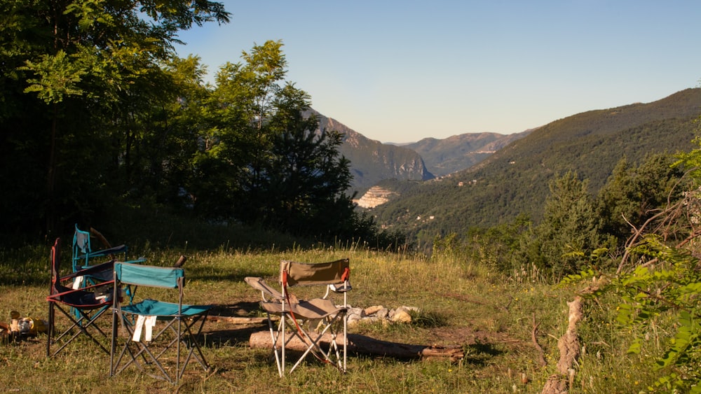 alberi verdi e montagne durante il giorno