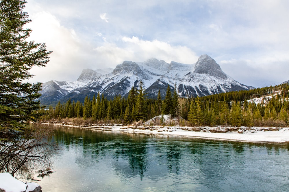 green trees near lake and snow covered mountain during daytime