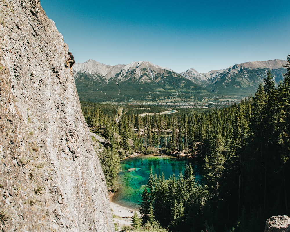 green pine trees near lake during daytime