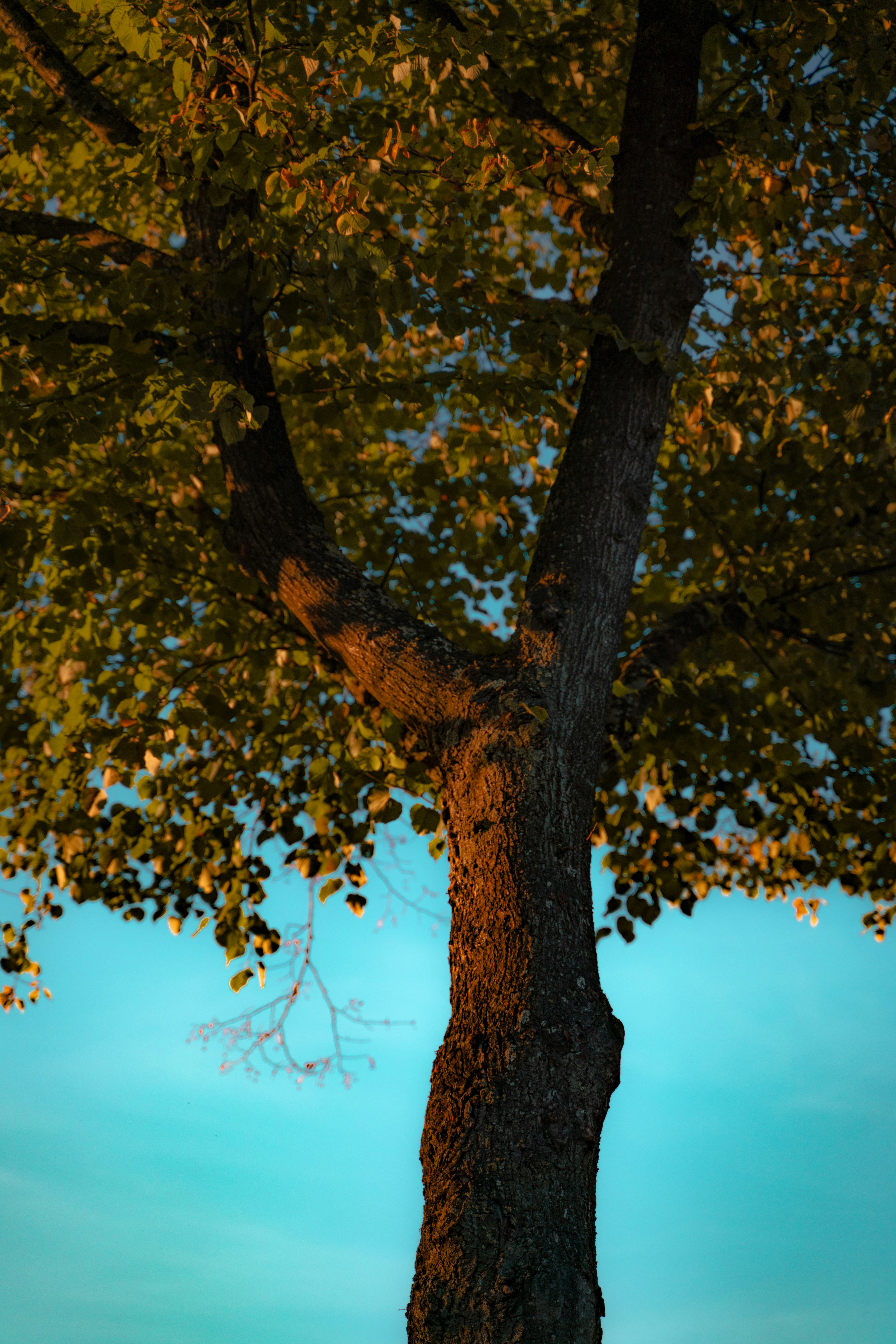 Photo by pieter_benjamin