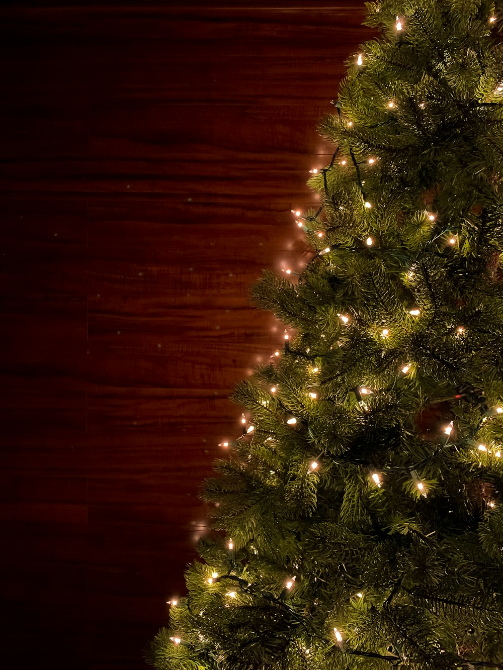 green christmas tree with string lights