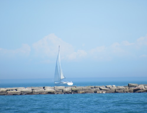 Boat sailing near whales in clear ocean waters under a bright sky.