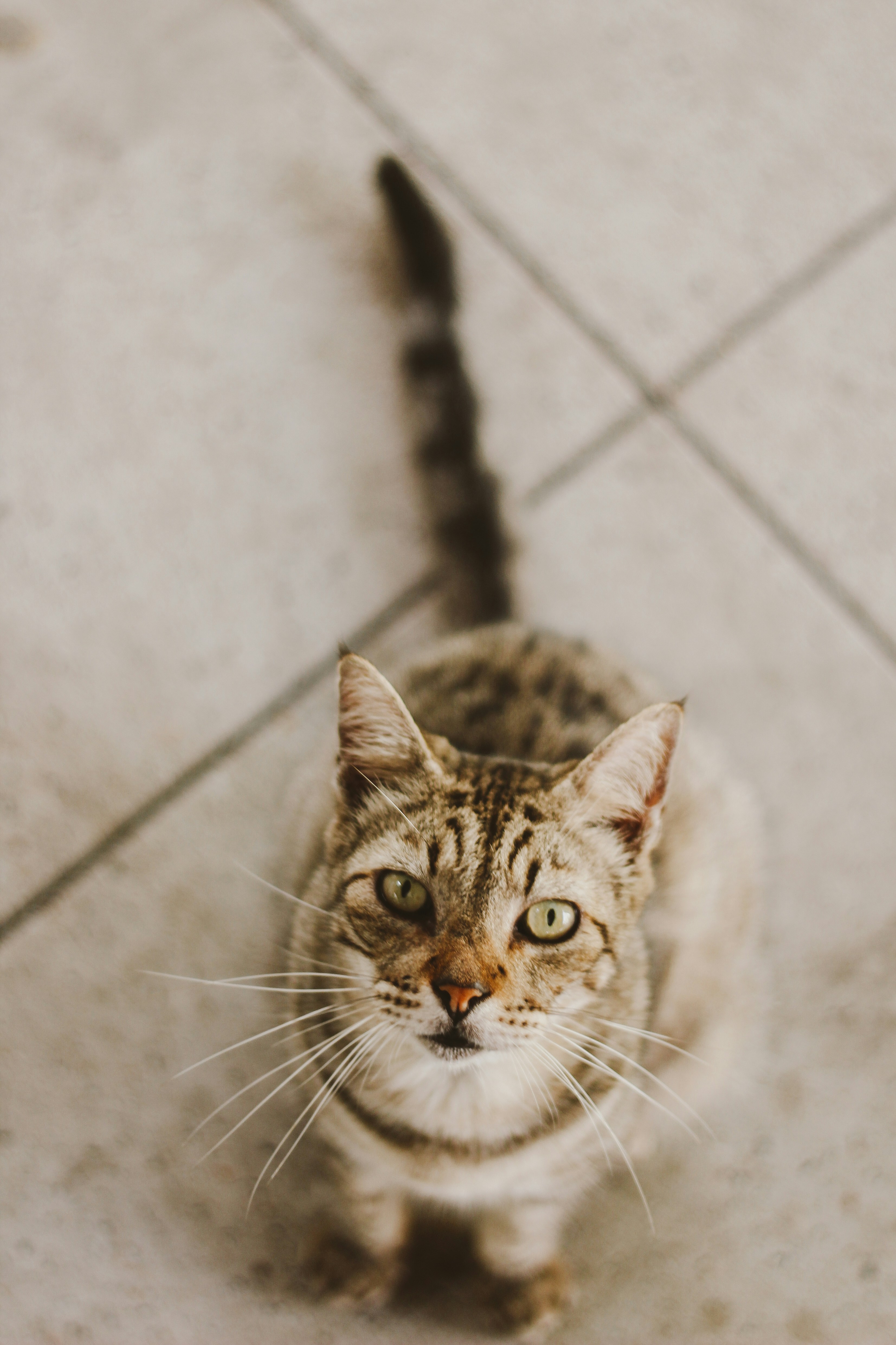 Photo by igorrodrigues