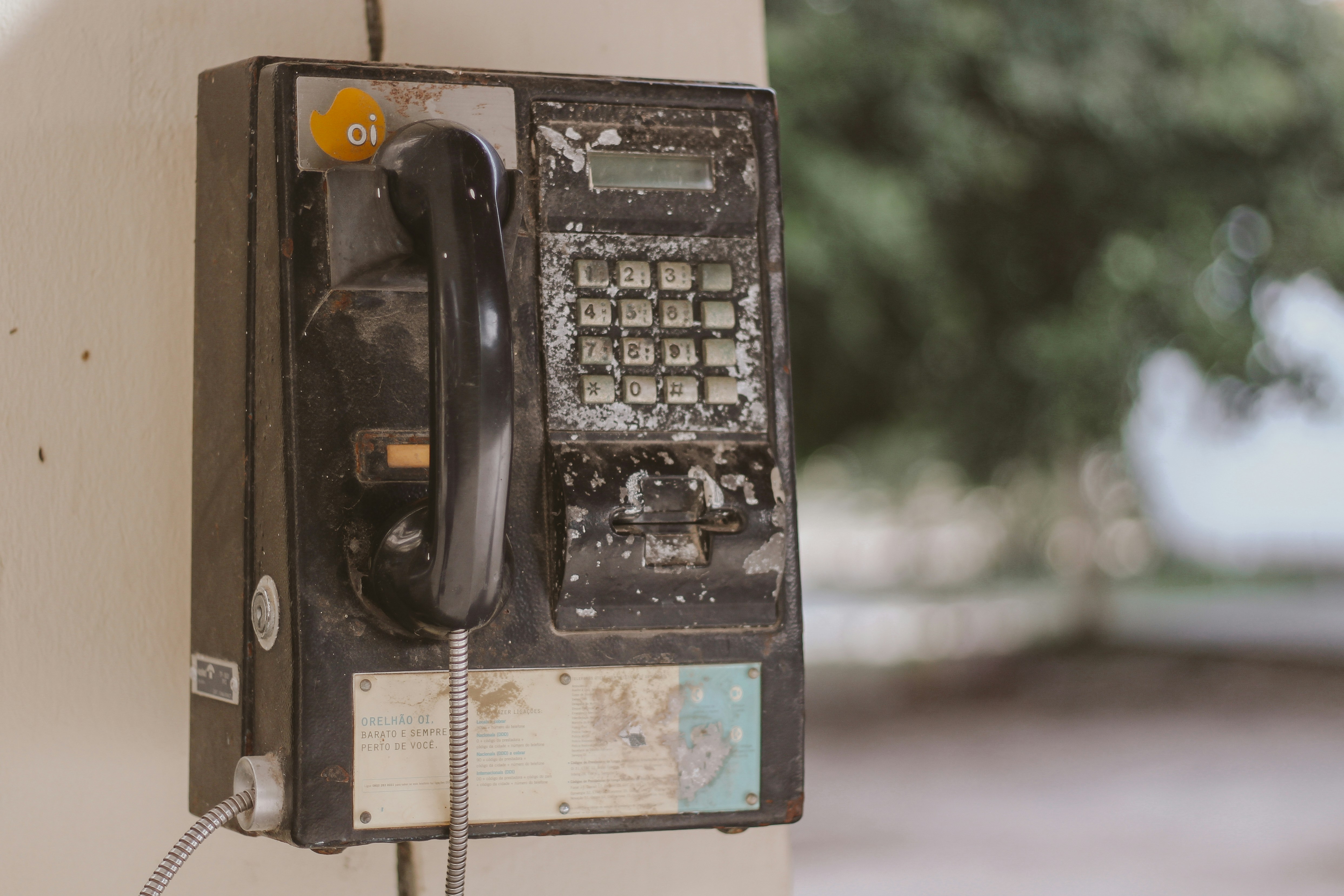 Photo by igorrodrigues