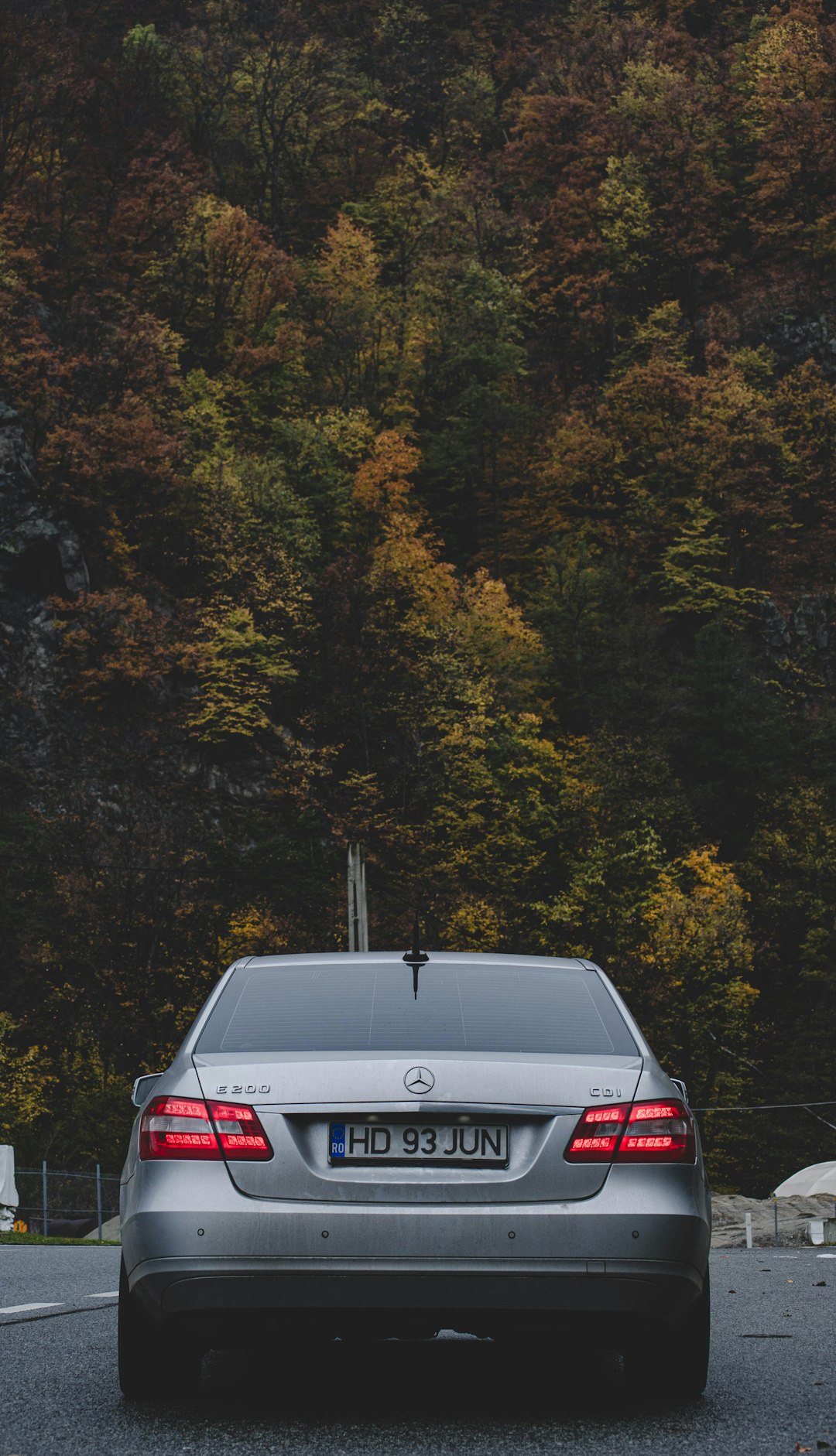 black mercedes benz car on road surrounded by green trees during daytime