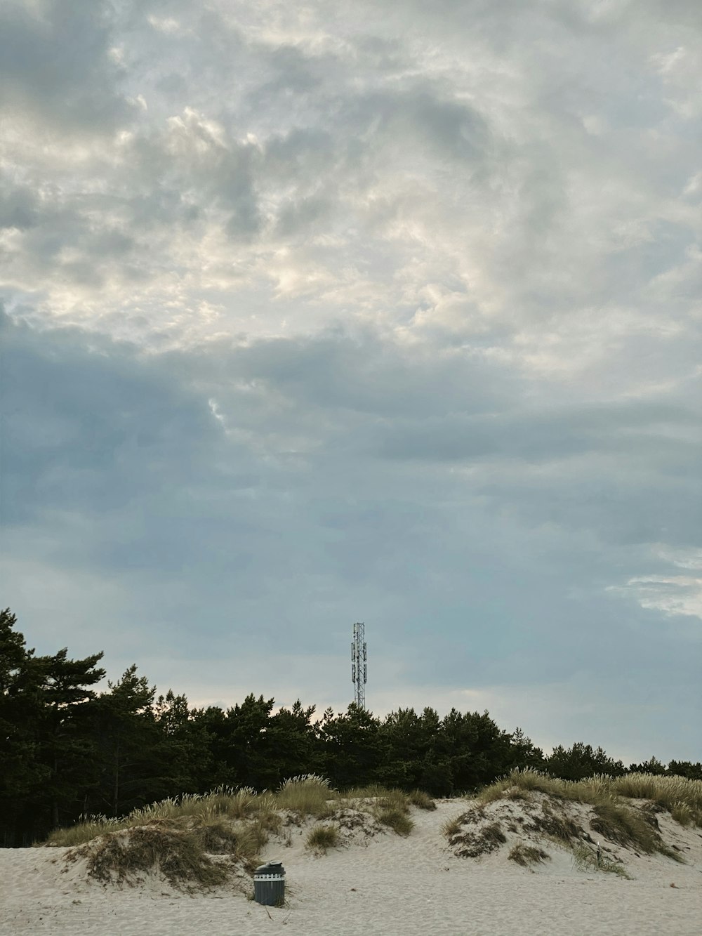 green trees under white clouds during daytime