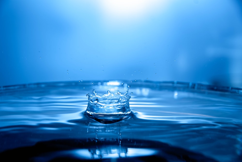 clear glass cup on water