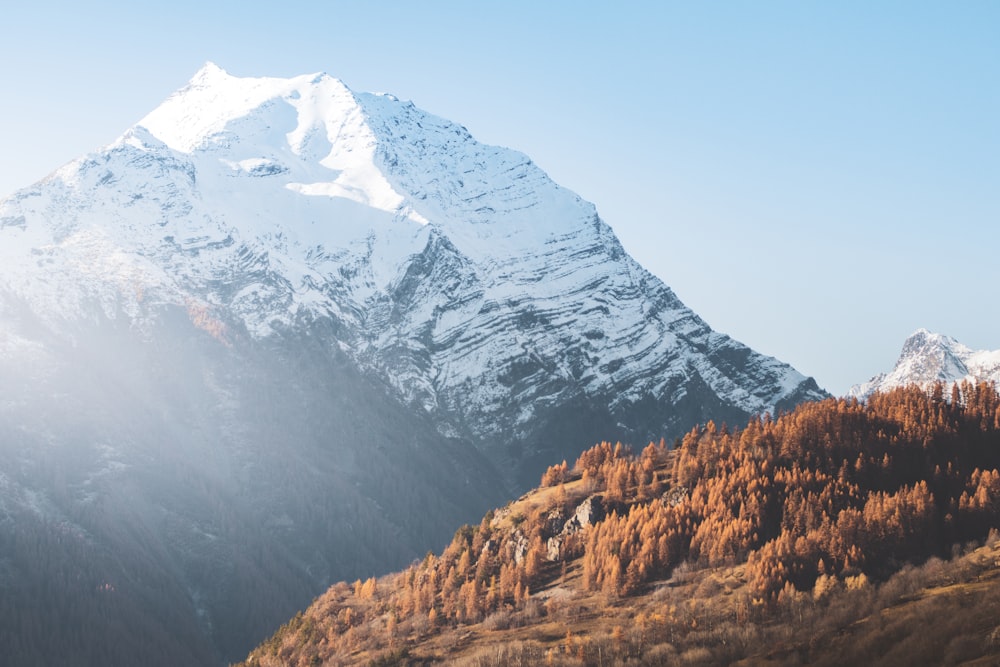 brown and white mountains under blue sky during daytime