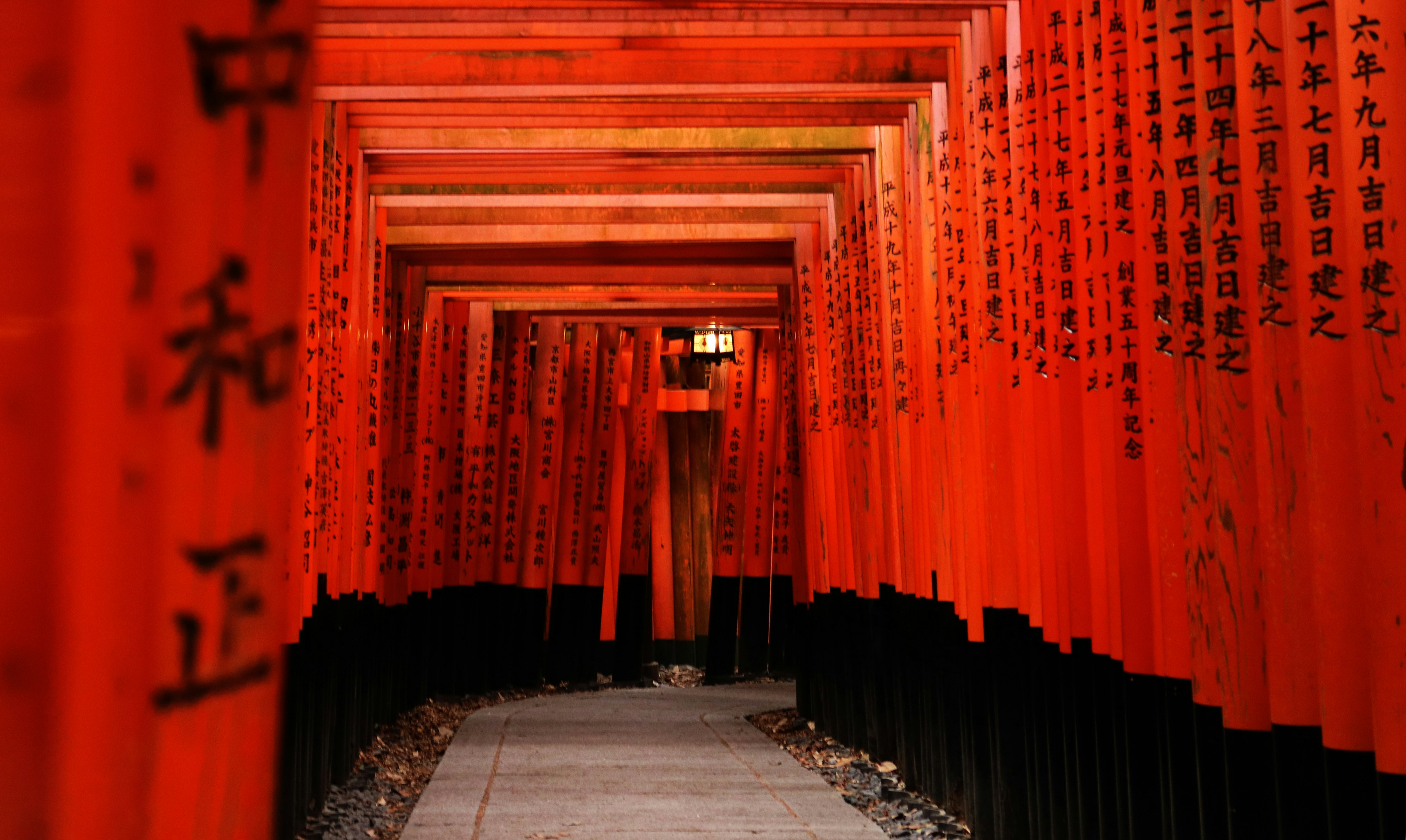 Featured image of post langextract