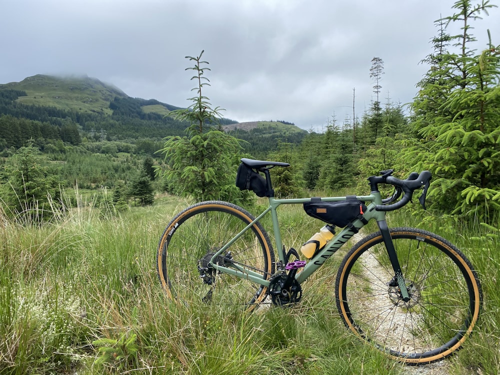 red and black road bike on green grass field near green trees during daytime