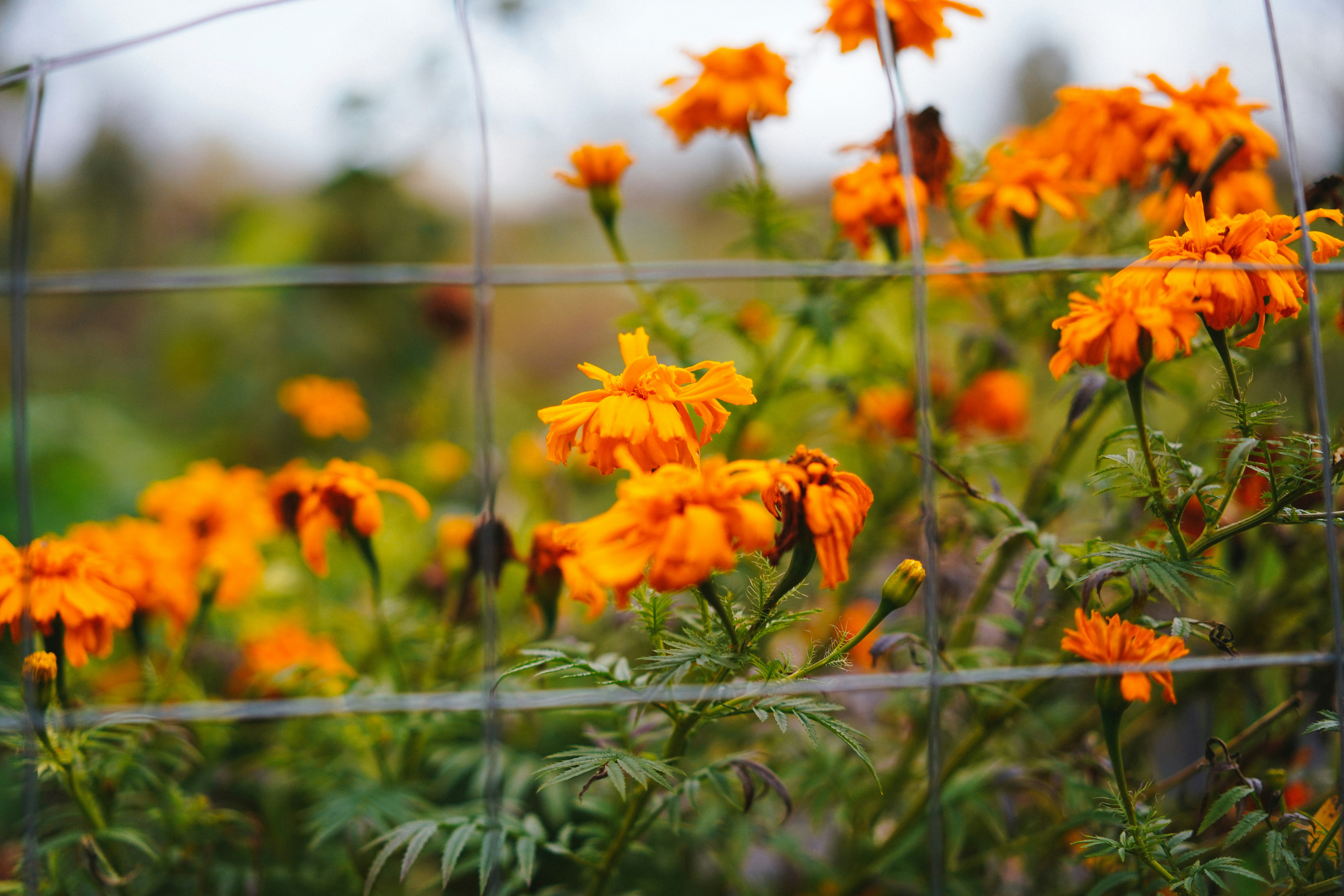 Photo by philhearing