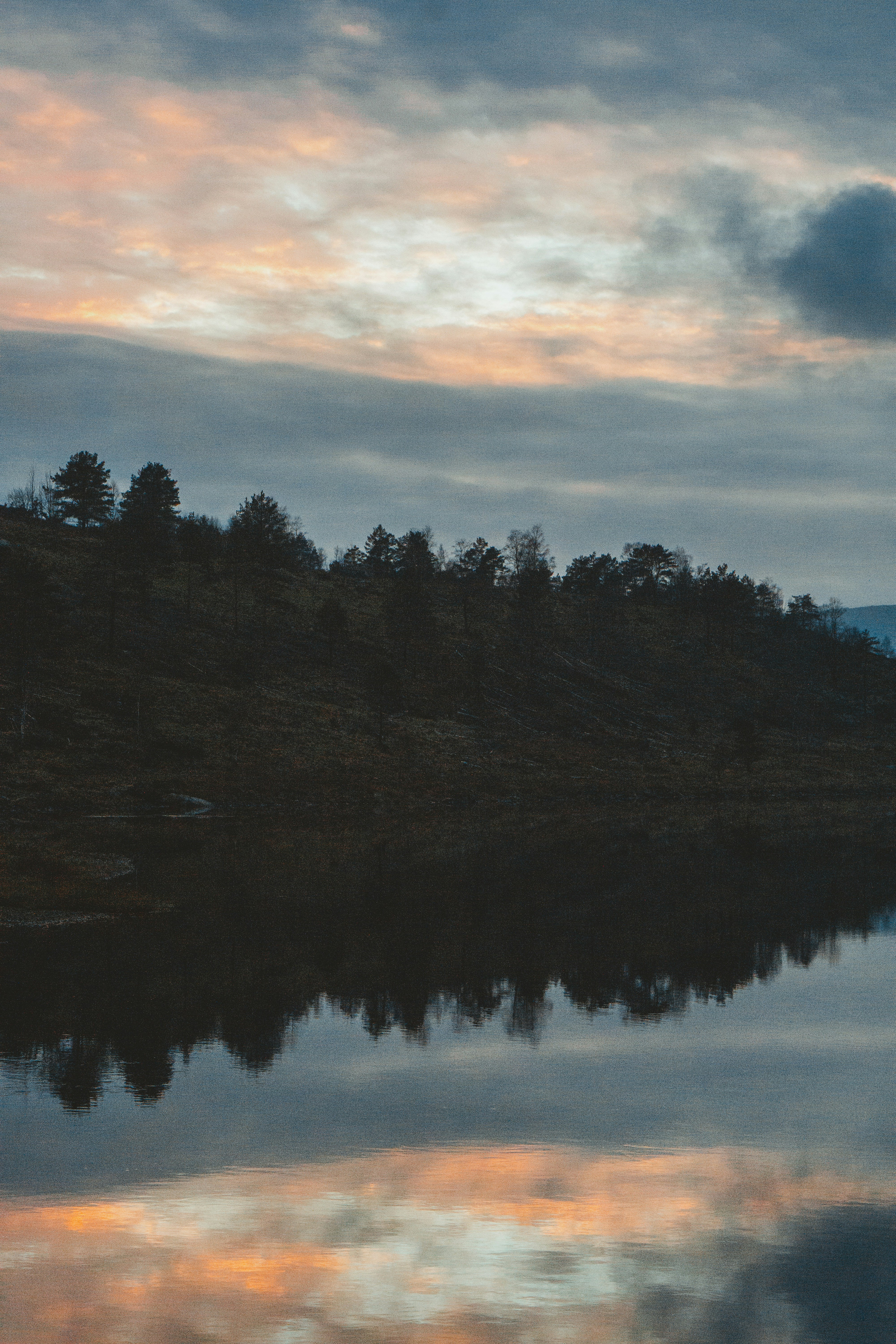 green trees beside body of water during daytime