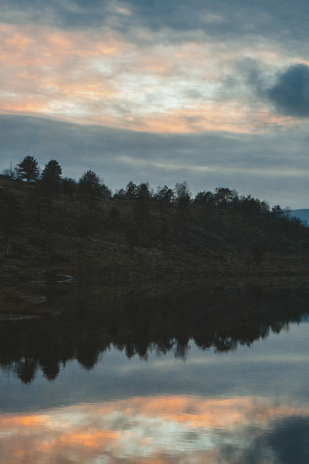 green trees beside body of water during daytime