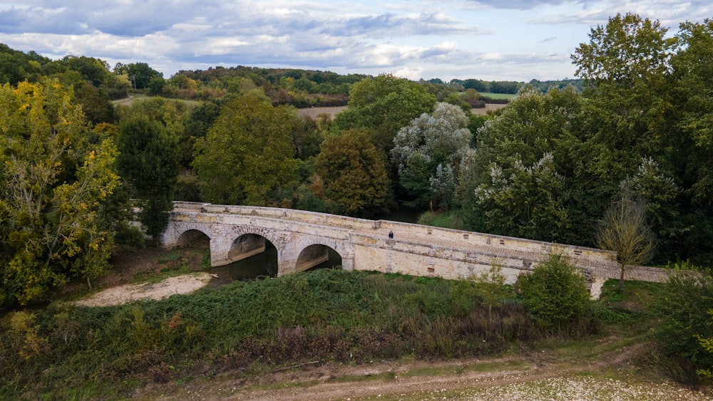 brown concrete bridge over green trees during daytime