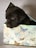 A small dark brown puppy is nestled inside a decorative box. The box features a pattern of colorful butterflies and floral designs on a light background. The puppy has a cute, curious expression and is peeking out of the box.