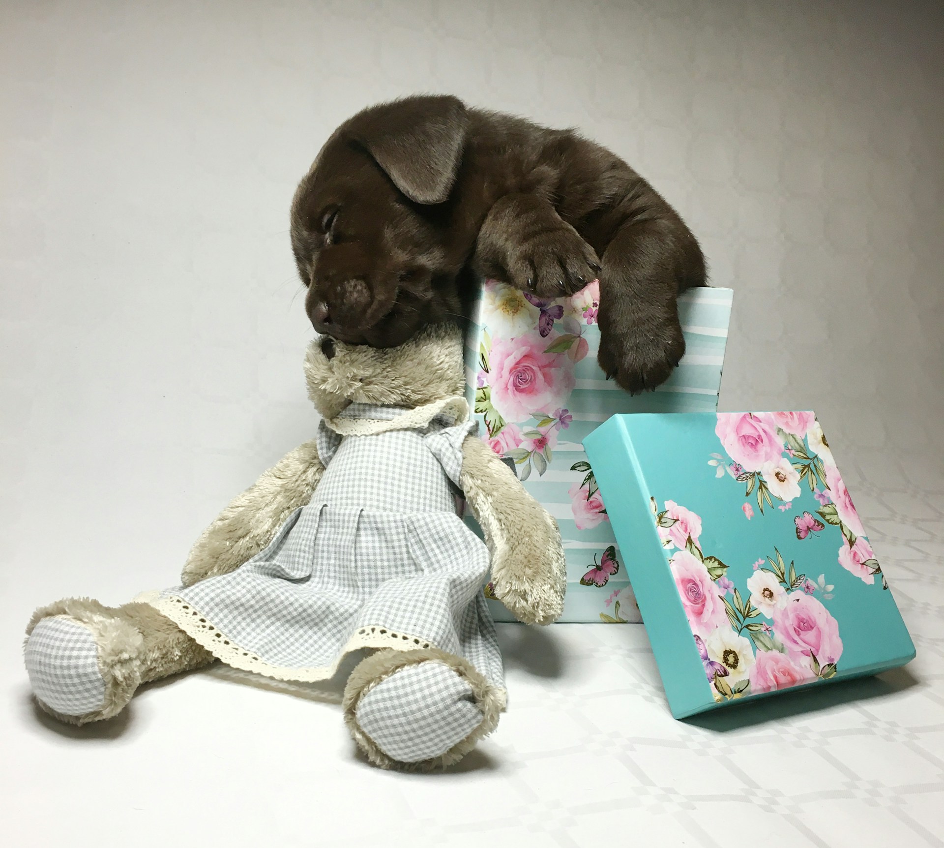 woman wearing yellow long-sleeved dress under white clouds and blue sky during daytime