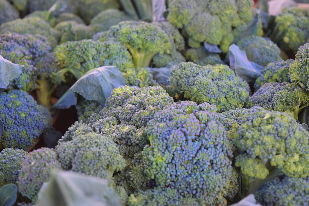 Fresh Broccoli Florets