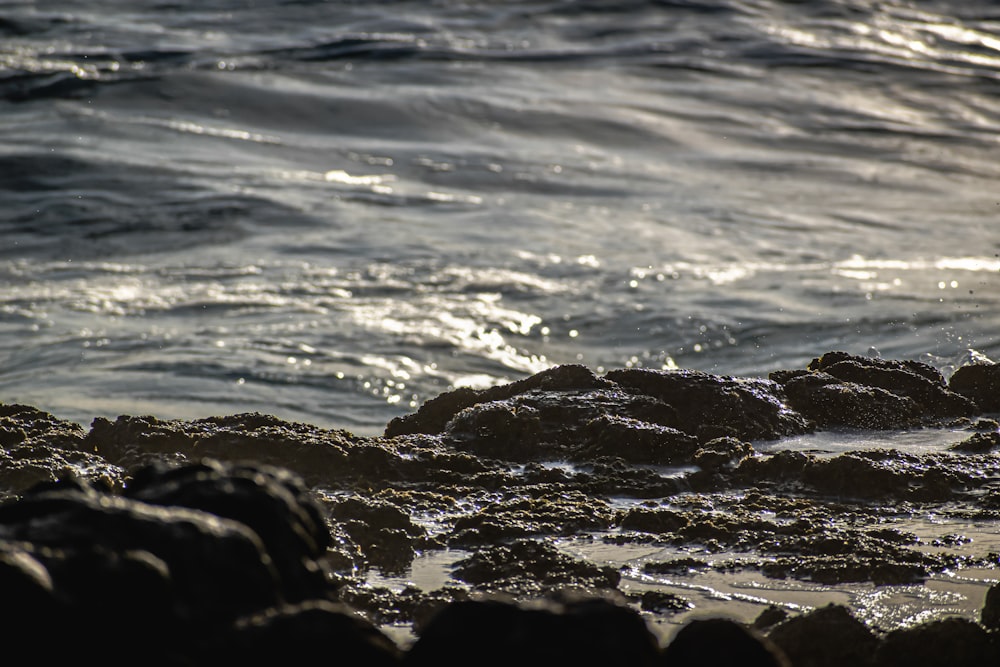 Formación de rocas negras en el cuerpo de agua durante el día