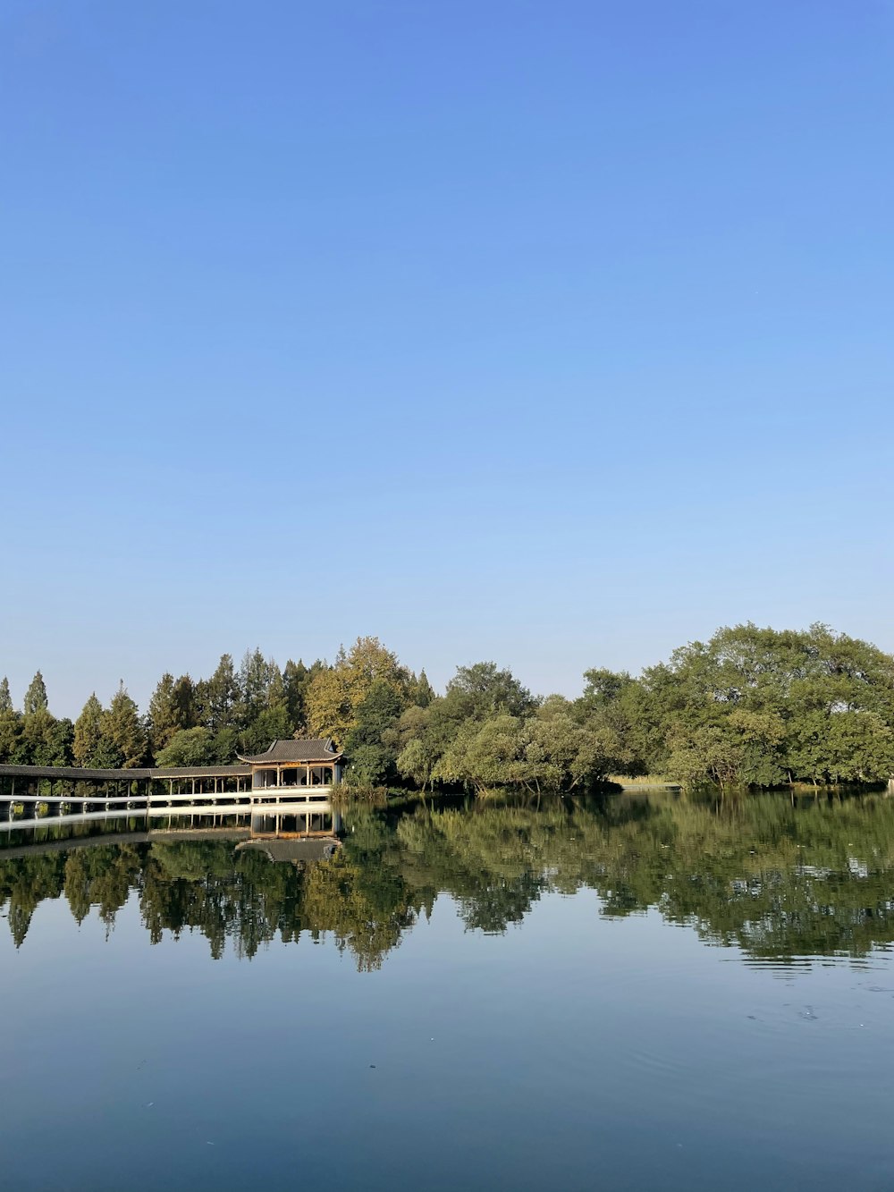 white and brown concrete building near green trees and body of water during daytime