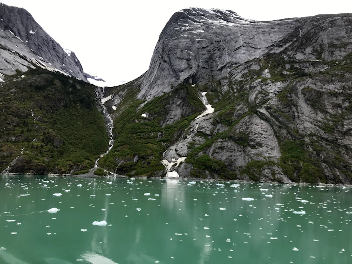 Tracy Arm Fjord Cruises