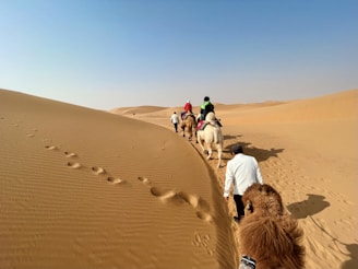 A group of tourists enjoying a camel ride in the desert, surrounded by vast sandy landscapes.
