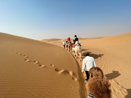 Tourists riding camels through the desert with a backdrop of dunes and clear sky