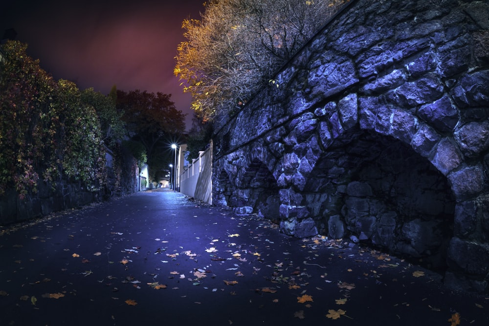 gray concrete pathway between green trees during daytime