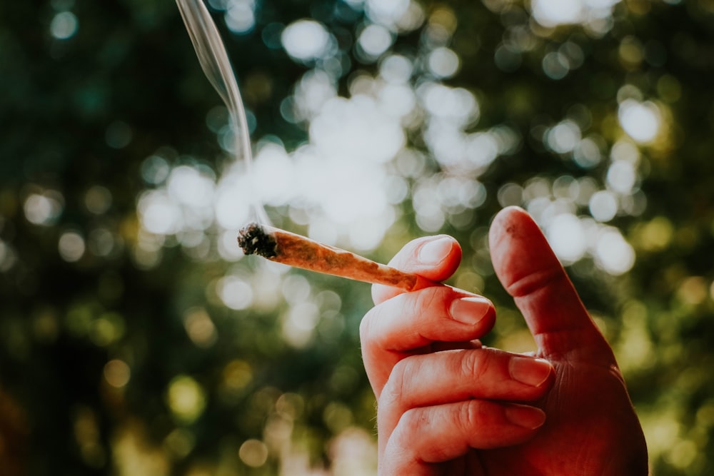 person holding lighted cigarette stick