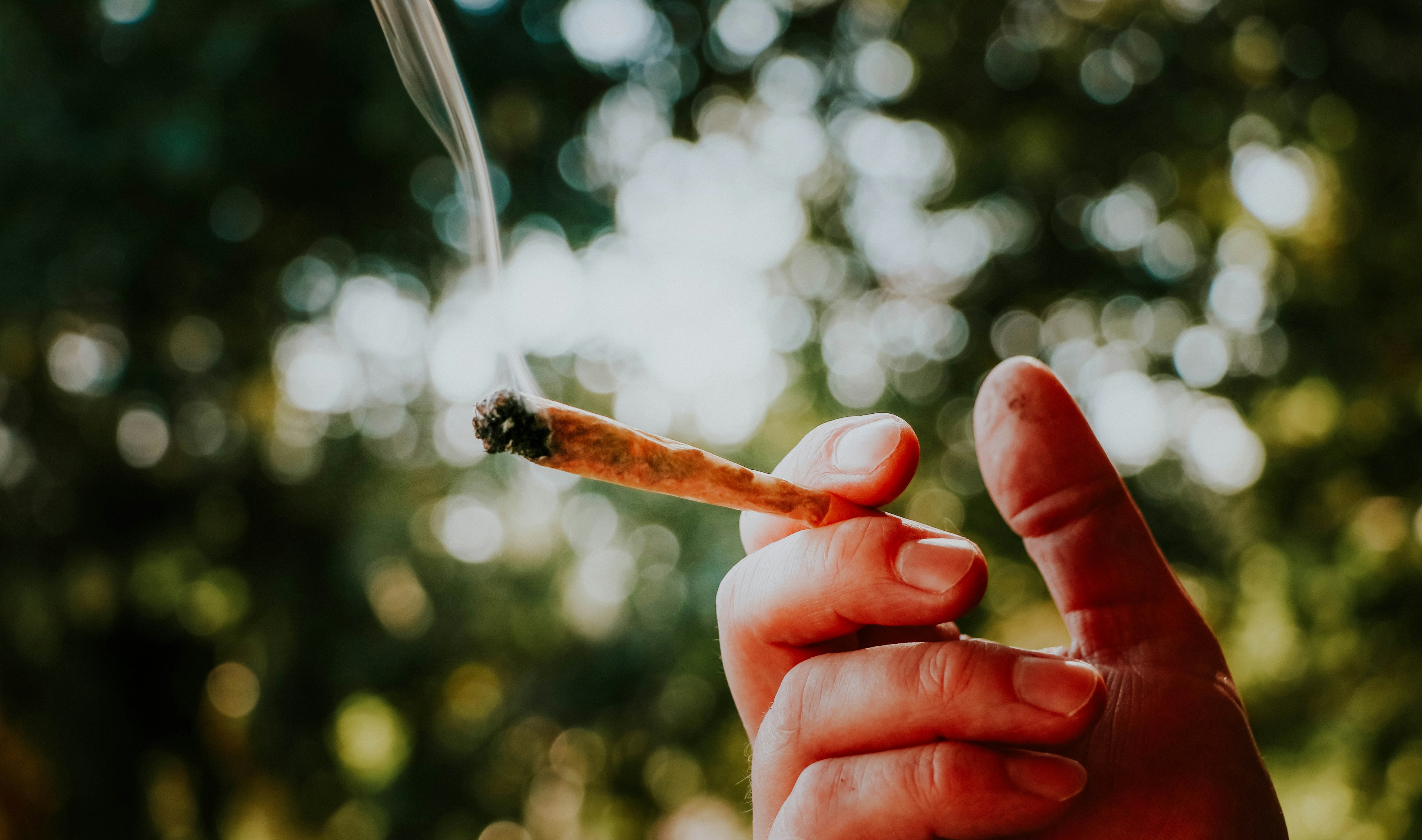 how to smoke tobacco without a pipe Smoking the with or filter? Best Ways to Smoke Weed