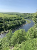 A panoramic view of a lush green forest with a winding river below.